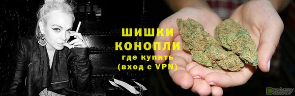 дурь Бронницы