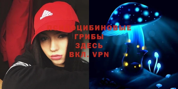 дживик Верхний Тагил