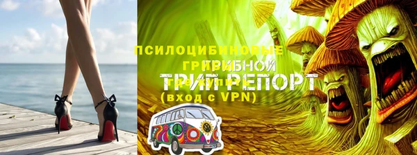 дживик Верхний Тагил