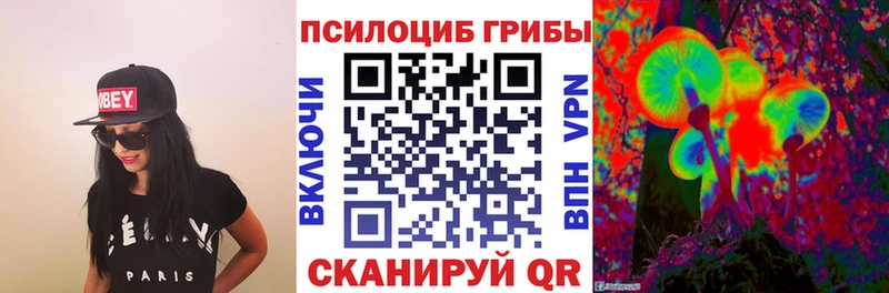 купить Морозовск блэк спрут сайт Псилоцибиновые грибы Psilocybe