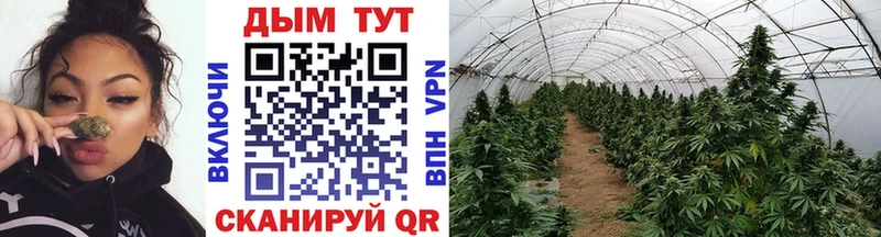 Конопля LSD WEED площадка формула Морозовск где купить наркоту